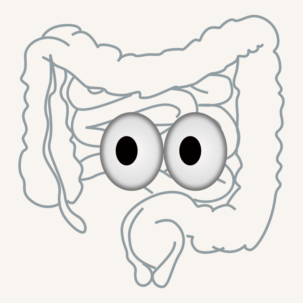 DigestShun Logo